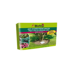 Biotop - Piège Otiorrhynques adultes