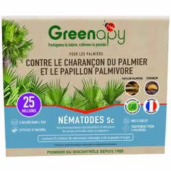 Qu'est ce que le charançon rouge palmier ? Le charançon rouge du palmier est un coléoptère de 2 à 4 cm et de couleur orangée ...