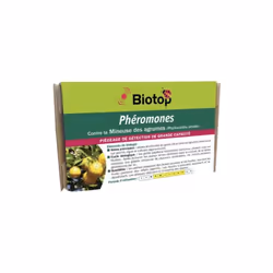 Qu'est ce qu'une phéromone ? Les phéromones en lutte biologique sont des substances chimiques utilisées pour contrôler les po ...