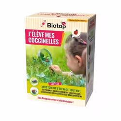 Kit délevage de coccinelles - Larves incluses