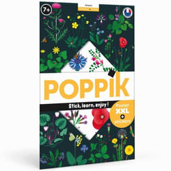 Poppik 1841135 affichages 100 x 68 cm 1 pièce(s)