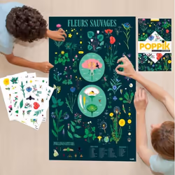 Poppik 1841135 affichages 100 x 68 cm 1 pièce(s)