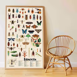 Poppik 1841225 affichages 100 x 68 cm 1 pièce(s)