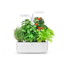 Véritable CLASSIC jardin Blanc