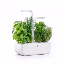 Véritable CLASSIC jardin Blanc