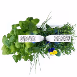 Véritable CLASSIC jardin Blanc - Vue supplémentaire 4