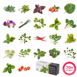 Véritable CLASSIC jardin Blanc - Vue supplémentaire 6