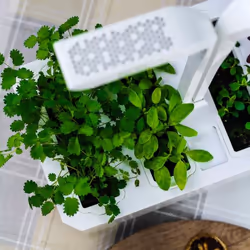Véritable CLASSIC jardin Blanc - Vue supplémentaire 8
