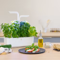 Véritable CLASSIC jardin Blanc - Vue supplémentaire 9