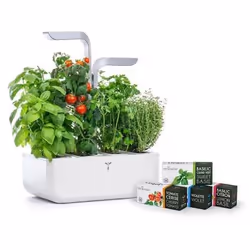Véritable SMART