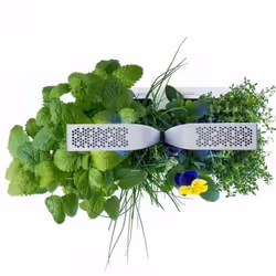 Véritable SMART jardin Blanc