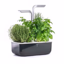 Véritable SMART jardin Noir