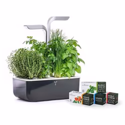 Véritable SMART jardin Noir