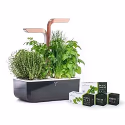 Véritable SMART Garden, LED, 2 lampe(s), 10,5 W, 100-240 V, 185 mm, 330 mm