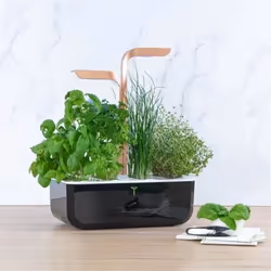 Véritable SMART Garden jardin Noir