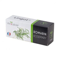Véritable 3760262510552 kit de croissance et recharge Romarin Remplir