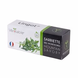 Véritable NBBX22XXXXVB semence de légume Sarriette