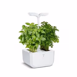 Véritable 3760262510873, 4 W, 100 - 240 V, 200 mm, 182 mm, 371 mm, 1,2 kg