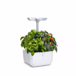 Véritable SMART EXKY