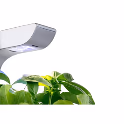 Véritable SMART EXKY jardin Blanc