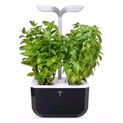 Véritable Exky SMART Garden, LED, 2 lampe(s), France