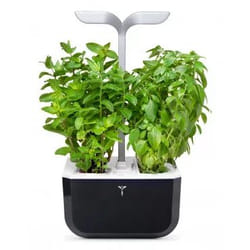 Véritable Exky SMART Garden jardin Noir