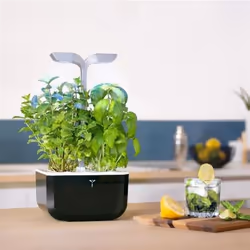 Véritable Exky SMART Garden jardin Noir