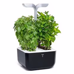 Véritable Exky SMART Garden jardin Noir
