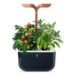 Véritable Exky SMART Garden jardin Noir
