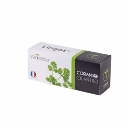 Véritable 3760262511030, Plantes comestibles, Coriandre, Remplir, Croissance rapide (3-5 semaines)