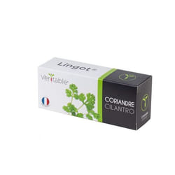 Véritable 3760262511030 kit de croissance et recharge Coriandre Remplir