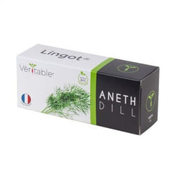Véritable 3760262511061 kit de croissance et recharge Aneth Remplir