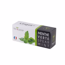 Véritable 3760262511085, Plantes comestibles, Menthe, Remplir, Croissance moyenne (5-8 semaines)