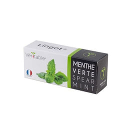 Véritable 3760262511085 kit de croissance et recharge Menthe Remplir