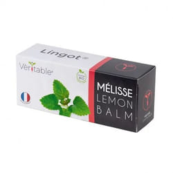 Véritable 3760262511092 kit de croissance et recharge Baume au citron Remplir