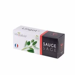 Véritable 3760262511108, Plantes comestibles, Sage, Remplir, Croissance rapide (3-5 semaines)