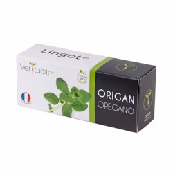 Véritable 3760262511115, Plantes comestibles, Origan, Remplir, Croissance rapide (3-5 semaines)