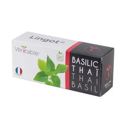 Véritable 3760262511122 kit de croissance et recharge Basilic thaï Remplir