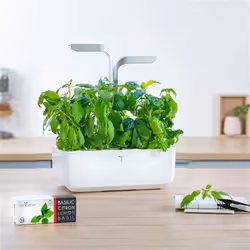 Véritable 3760262511122 kit de croissance et recharge Basilic thaï Remplir