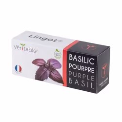 Véritable 3760262511146, Plantes comestibles, Basilique, Remplir, Croissance rapide (3-5 semaines), 7 jour(s), 4 - 6 mois