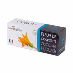 Véritable 3760262511177, Plantes comestibles, Zucchini flower, Remplir, Croissance rapide (3-5 semaines), 7 jour(s), 1 mois