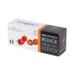 Véritable 3760262511191 kit de croissance et recharge Poivron rouge Remplir