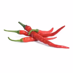 Véritable 3760262511207 kit de croissance et recharge Piment Remplir - Vue supplémentaire 2