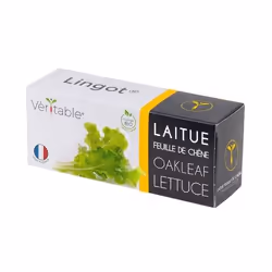 Véritable NBBX23XXXXVB semence de légume Laitue