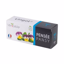 Véritable 3760262511221 kit de croissance et recharge Yellow Pansy Remplir