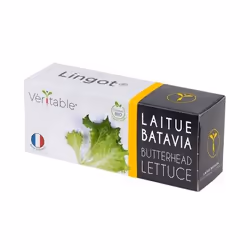 Véritable 3760262511245, Plantes comestibles, Laitue, Remplir, Croissance rapide (3-5 semaines)