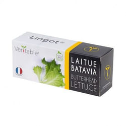Véritable 3760262511245 kit de croissance et recharge Laitue Remplir
