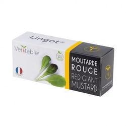 Véritable 3760262511252 kit de croissance et recharge Moutarde Remplir