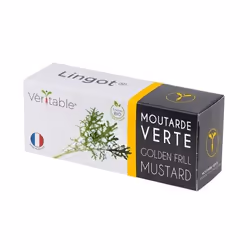 Véritable 3760262511269, Plantes comestibles, Moutarde, Remplir, Croissance rapide (3-5 semaines), 7 jour(s), 2 - 3 mois