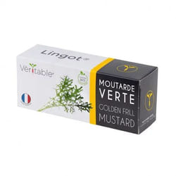 Véritable 3760262511269 kit de croissance et recharge Moutarde Remplir